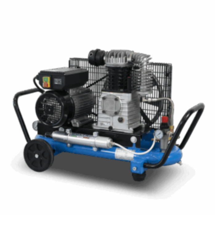 Untitled design (81)